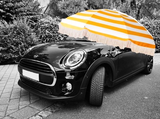 MINI Cabrio 2019