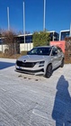 Skoda Karoq 2022