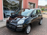 Fiat Panda 2020