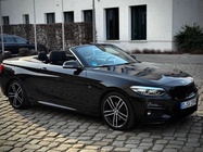 BMW 2 Series 2019