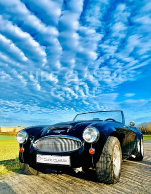 Austin Healey Other 1962