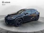 Lexus UX 2021