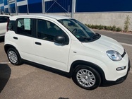 Fiat Panda 2024