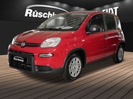 Fiat Panda 2024