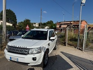 Land Rover Freelander 2011