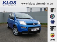 Fiat Panda 2024