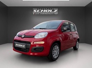 Fiat Panda 2025