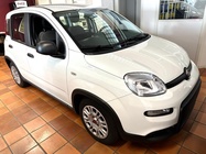 Fiat Panda 2023
