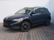 Skoda Karoq 2024