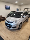 Fiat Panda 2019