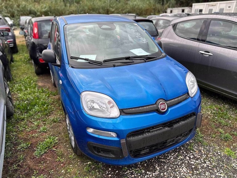 Fiat Other