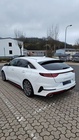 Kia pro cee'd / ProCeed 2022
