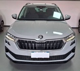 Skoda Karoq 2023