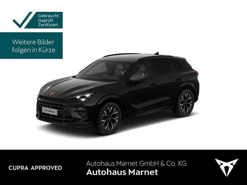 Cupra Terramar