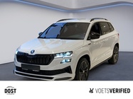 Skoda Karoq 2025