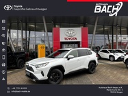 Toyota RAV4 2023