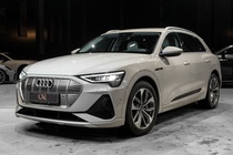 Audi e-tron 2021