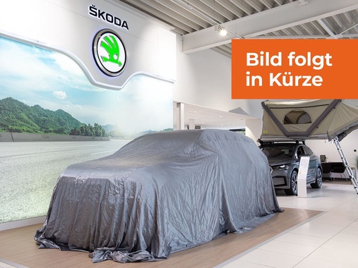 Skoda Kamiq 2021