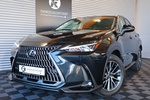 Фото 0