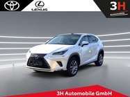 Lexus NX 2019
