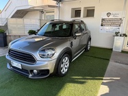 MINI Other 2019