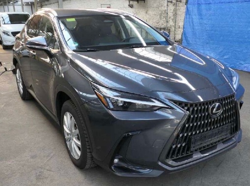 Lexus NX 2022