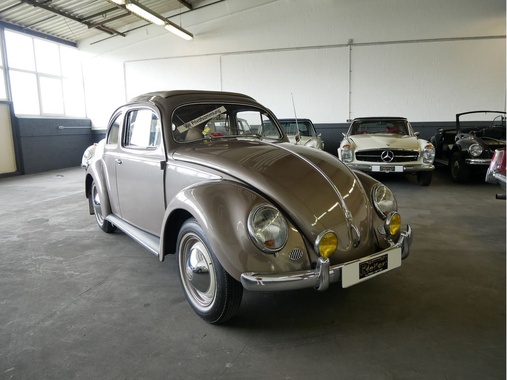 Volkswagen Kafer 1955