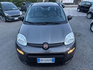 Fiat Panda 2021