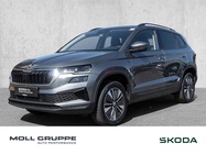 Skoda Karoq 2025