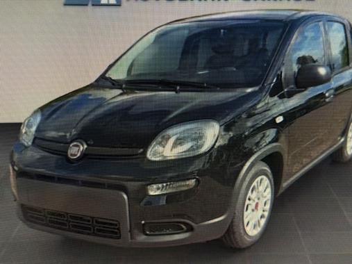 Fiat Panda 2022