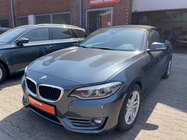 BMW 2 Series 2019