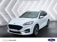 Ford Kuga 2022