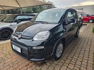 Fiat Panda 2024
