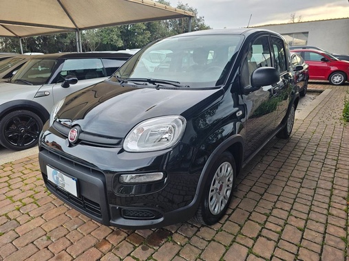 Fiat Panda 2024