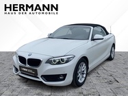 BMW 2 Series 2019