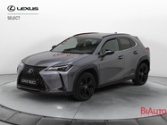 Lexus UX 2021