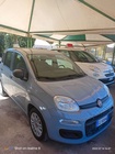 Fiat Panda 2021