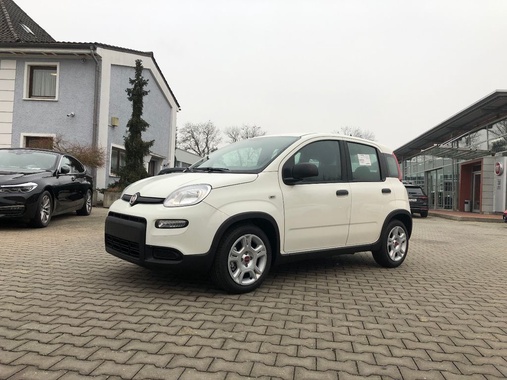 Fiat New Panda 2024