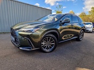 Lexus NX 2024