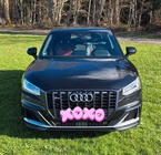 Audi SQ2 2019