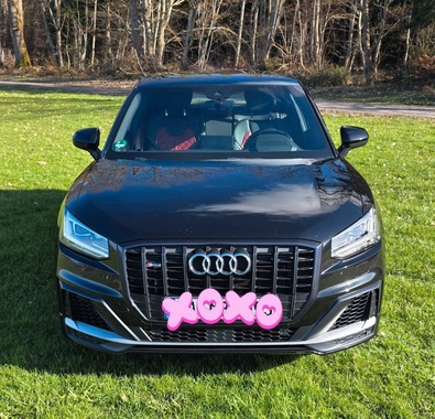 Audi SQ2 2019