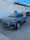 Audi Q4 2021