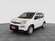 Fiat Panda 2024