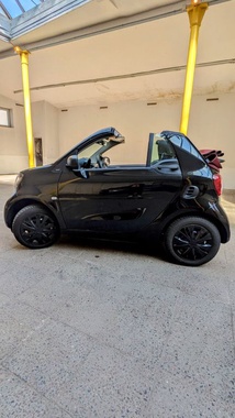 Smart Other 2019