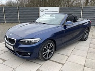 BMW 2 Series 2019
