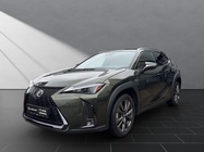 Lexus UX 2024