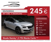 Skoda Kamiq 2022