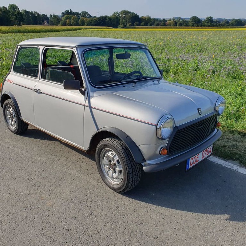 MINI 1000