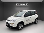 Fiat Panda 2024