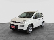 Fiat Panda 2024